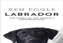 Labrador