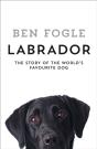 Labrador - Preview