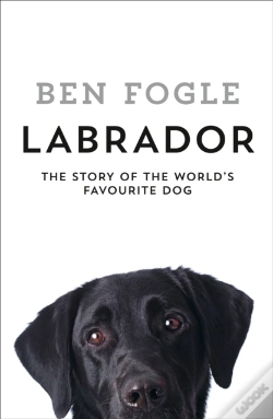 Capa do artigo Labrador