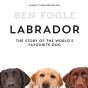Labrador - Preview