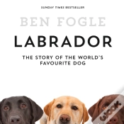 Capa do artigo Labrador