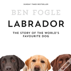 Capa do artigo Labrador