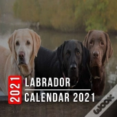 Labrador Calendar 2021