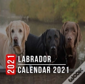 Capa do artigo Labrador Calendar 2021