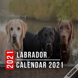 Capa do artigo Labrador Calendar 2021