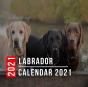 Labrador Calendar 2021 - Preview