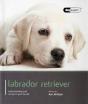 Labrador - Dog Expert - Preview