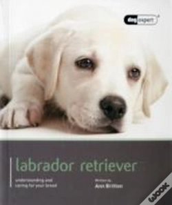 Capa do artigo Labrador - Dog Expert