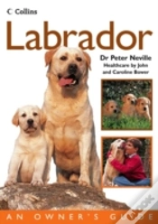 Capa do artigo Labrador
