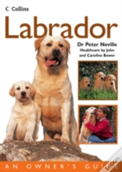 Capa do artigo Labrador