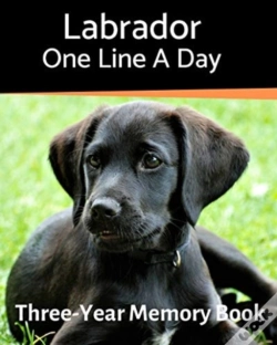 Capa do artigo Labrador - One Line A Day