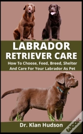 Labrador Retriever Care