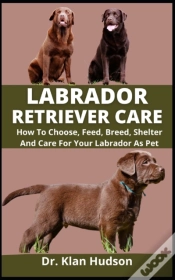 Capa do artigo Labrador Retriever Care