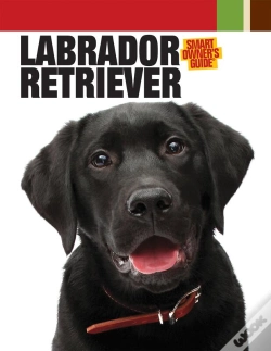 Capa do artigo Labrador Retriever