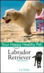 Labrador Retriever - Preview