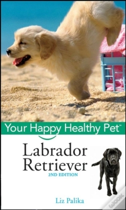 Capa do artigo Labrador Retriever