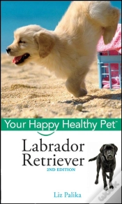 Capa do artigo Labrador Retriever