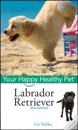 Capa do artigo Labrador Retriever