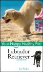 Labrador Retriever - Preview