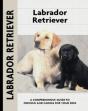 Labrador Retriever - Preview