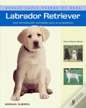 Capa do artigo Labrador Retriever