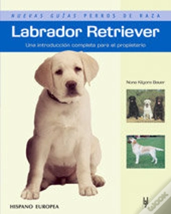 Capa do artigo Labrador Retriever
