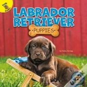 Capa do artigo Labrador Retriever Puppies