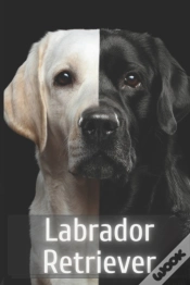 Capa do artigo Labrador Retriever