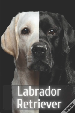 Capa do artigo Labrador Retriever