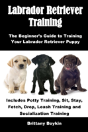 Labrador Retriever Training - Preview