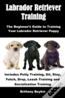 Labrador Retriever Training