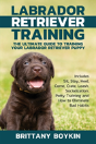 Labrador Retriever Training - Preview