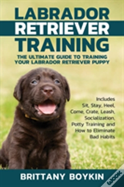 Capa do artigo Labrador Retriever Training
