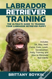 Capa do artigo Labrador Retriever Training