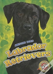 Labrador Retrievers