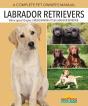 Labrador Retrievers - Preview