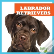 Capa do artigo Labrador Retrievers