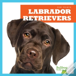 Capa do artigo Labrador Retrievers