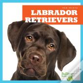 Labrador Retrievers