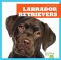 Labrador Retrievers - Preview