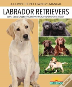 Capa do artigo Labrador Retrievers