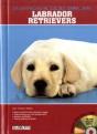 Labrador Retrievers - Preview