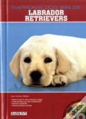 Capa do artigo Labrador Retrievers