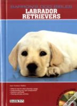 Capa do artigo Labrador Retrievers