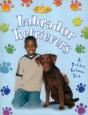 Labrador Retrievers - Preview