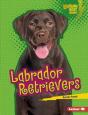 Labrador Retrievers - Preview