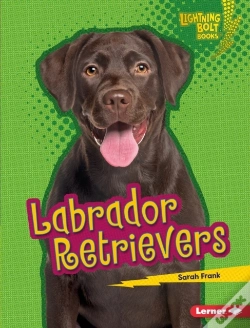 Capa do artigo Labrador Retrievers