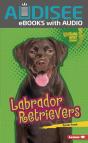 Labrador Retrievers - Preview