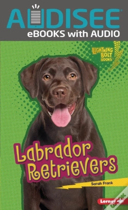 Capa do artigo Labrador Retrievers