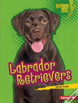 Capa do artigo Labrador Retrievers